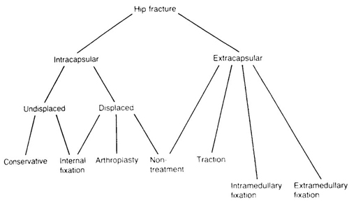 Hip Fracture Treatment